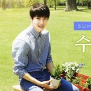 수호2 이미지