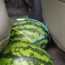 읍내4리마을회관 이미지