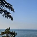 심리이론으로 풀어보는 감정과 소통 | [공지] 나만의 북극성을 바라보며 나의 속도로 걸어가기. [부천 심리상담 치유앤성장]