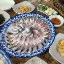 달구포차 | 경남 통영 욕지도에서 인생고등어회랑 활고등어물회 먹기 해녀김금단포차 낮술후기