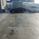 쌍봉시장 이미지