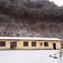 고란포도원