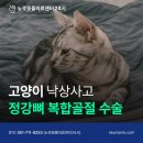 정강동물병원 이미지