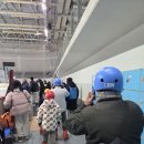 인천광역시 계양경기장 인라인스케이트장 | 2025년 시흥컵스카우트 늠내지역대 동계훈련 (스케이트)