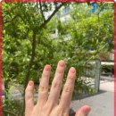 꼼네일 - 전주시 완산구 구룡2길 13 | 꼼네일