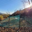 임대길농장 이미지