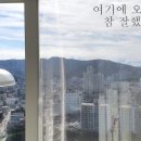 한판돈덩어리 이미지