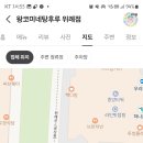 신호등 탕후루 이미지