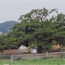 삼천동식당 이미지