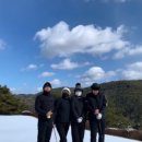 라일룩스