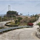 적금해리스 이미지