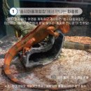 송시마을체험장 이미지