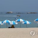 경포의휴일 이미지