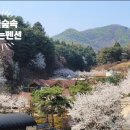 별헤는 펜션 이미지