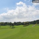 에스케이핀크스주식회사