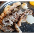 보라보라 코인노래연습장 이미지