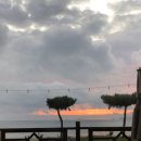 바이오메딕스코리아 이미지