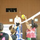 제51회 생활체육 카네이션 전국어머니 배구대회-여배우VS웅상배구동호회1 이미지