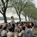♧이종구 교수의 문학산책/ 도산국민학교 봄소풍 : 물레방간 분강 봄바람에 첫사랑은 부서지고~ 2) 베르너의 "들장미" 중에서 이미지