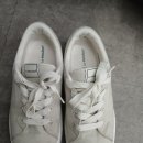 클린워시세탁전문점 이미지