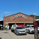 예산상회 | 예산시장 골목양조장 백술상회 사과막걸리 내돈내산 솔직후기