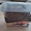 벅스패밀리 이미지