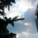 꿀 코인노래연습장 이미지