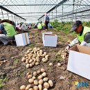 임피면 주민센터 이미지