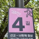 도심건강길 4길 네이버블로그