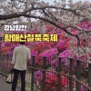 덕만주차장화장실 | 황매산 최단코스 철쭉축제 개화시기 정상주차장 정보