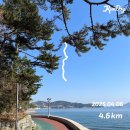 2024 윤이상국제음악콩구르 | 여행 : 트라이애슬론 3종 🏃‍♀️🚴‍♀️🏊‍♀️ 경기 훈련, 연습, 운동 여행 (달리기, 자전거, 수영 코스 추천) 후기