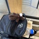 새로미세탁 | 상체 허약이의 작고 가벼운 백팩 구입 방랑기