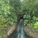 칸쿤 스칼렛 파크 (Cancun Xcaret Park) 후기 (25.02.)