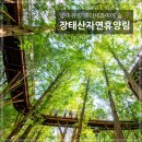 대전 장태산, 안평산,해태산,형제산 산행 일정 이미지