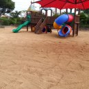 신녕초교병설유치원 이미지