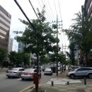 유인호치과의원 이미지