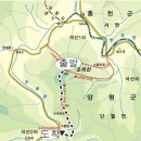 2011.7.5일 경기 양평 소리산 480m 쌍용회관 07:30분 출발 회비 20,000원 이미지