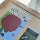 21개월 아이와 함께한 옐로우덕 사과 이야기 놀이 키트 후기 엄마표 책육아