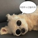 뿌리약국 이미지