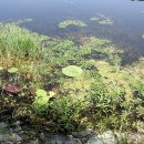 운대1리 이미지