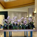 이스트타워 | 영종도 호텔 그랜드 하얏트 인천 이스트타워 스탠다드 킹 고층 1박 후기 ㅣ 아기 텐트 대여 룸서비스...