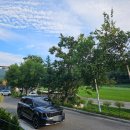 평창쁘띠빌리지 이미지