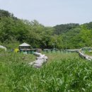 동구밖과수원 이미지