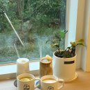 힐링요가 B팀 이미지