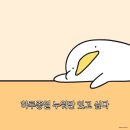 멍멍스토리 이미지