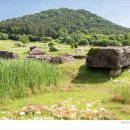 (주)마인더스 | 피라미드 / 홍산문화 /고인돌(청동기시대)