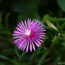 참샘골농원 이미지