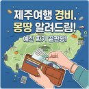 소나타구이 | 성인 4인의 제주 5박 6일 제주 여행 경비 대공개!! 엑셀 파일 공유해요. 숙박, 렌트, 식비 등