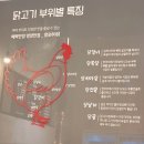 참숯80닭 이미지