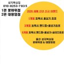 성지복싱짐